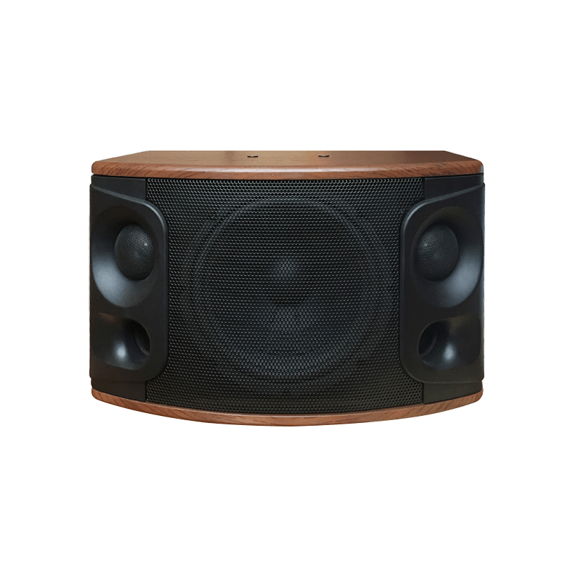 娛樂(lè )系列 K-510