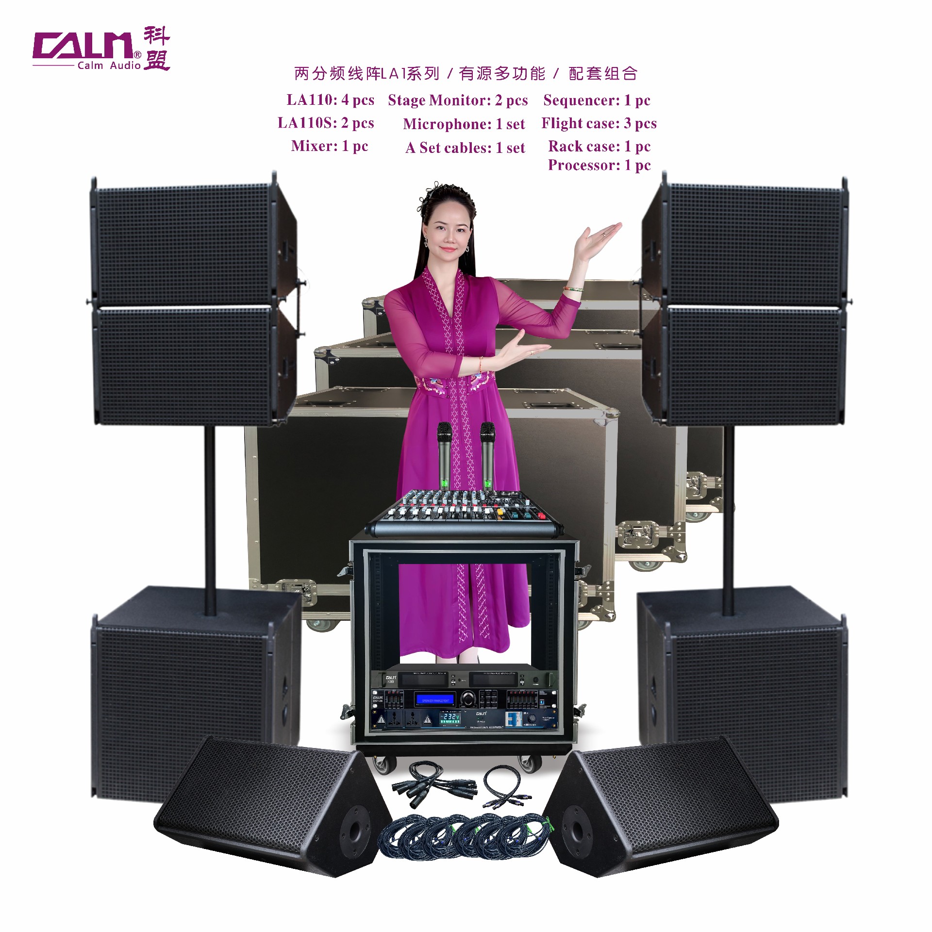 LA1兩分頻線(xiàn)陣 有源多功能 配套組合