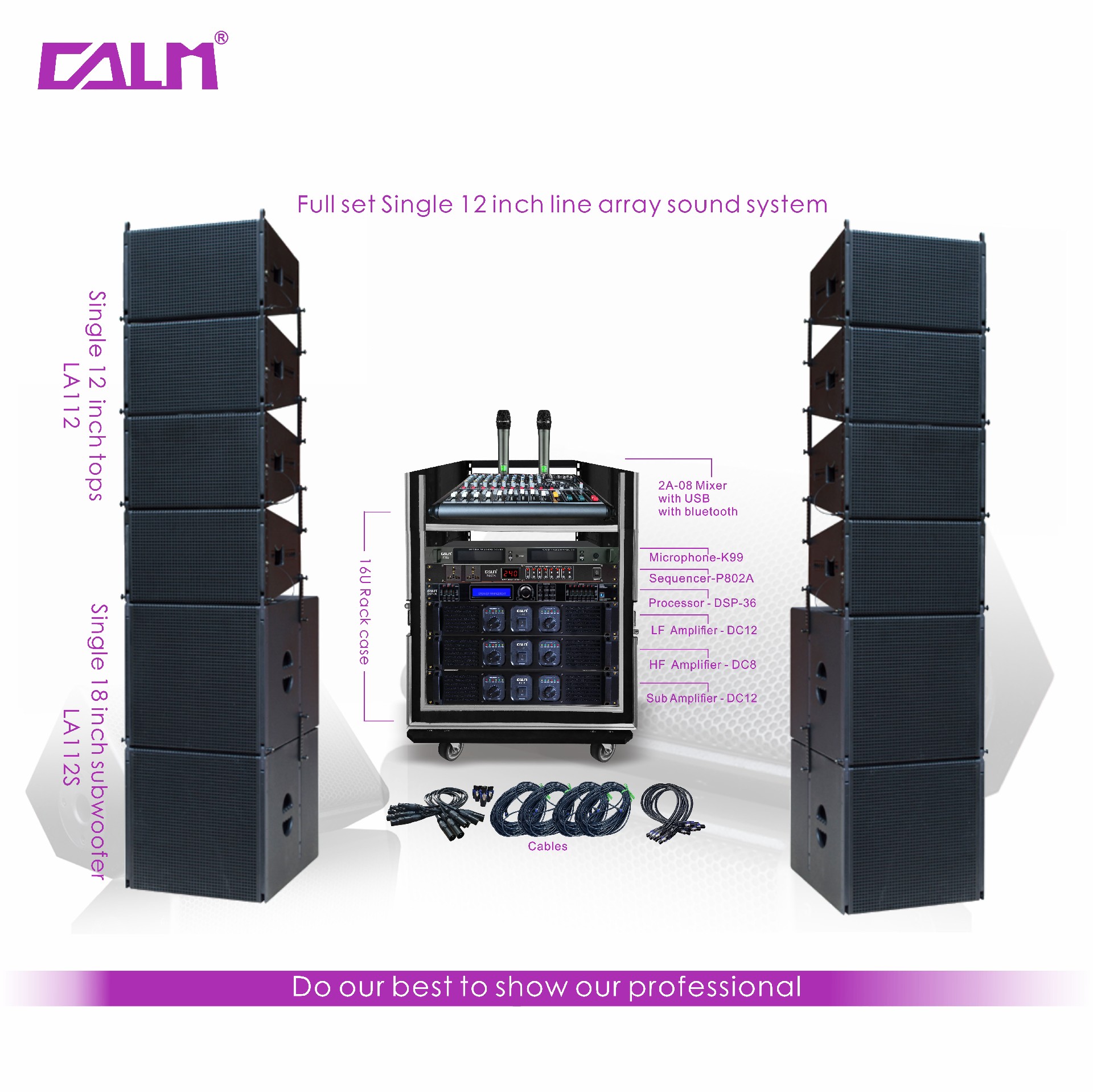 Full set Single 12 inch line array sound system