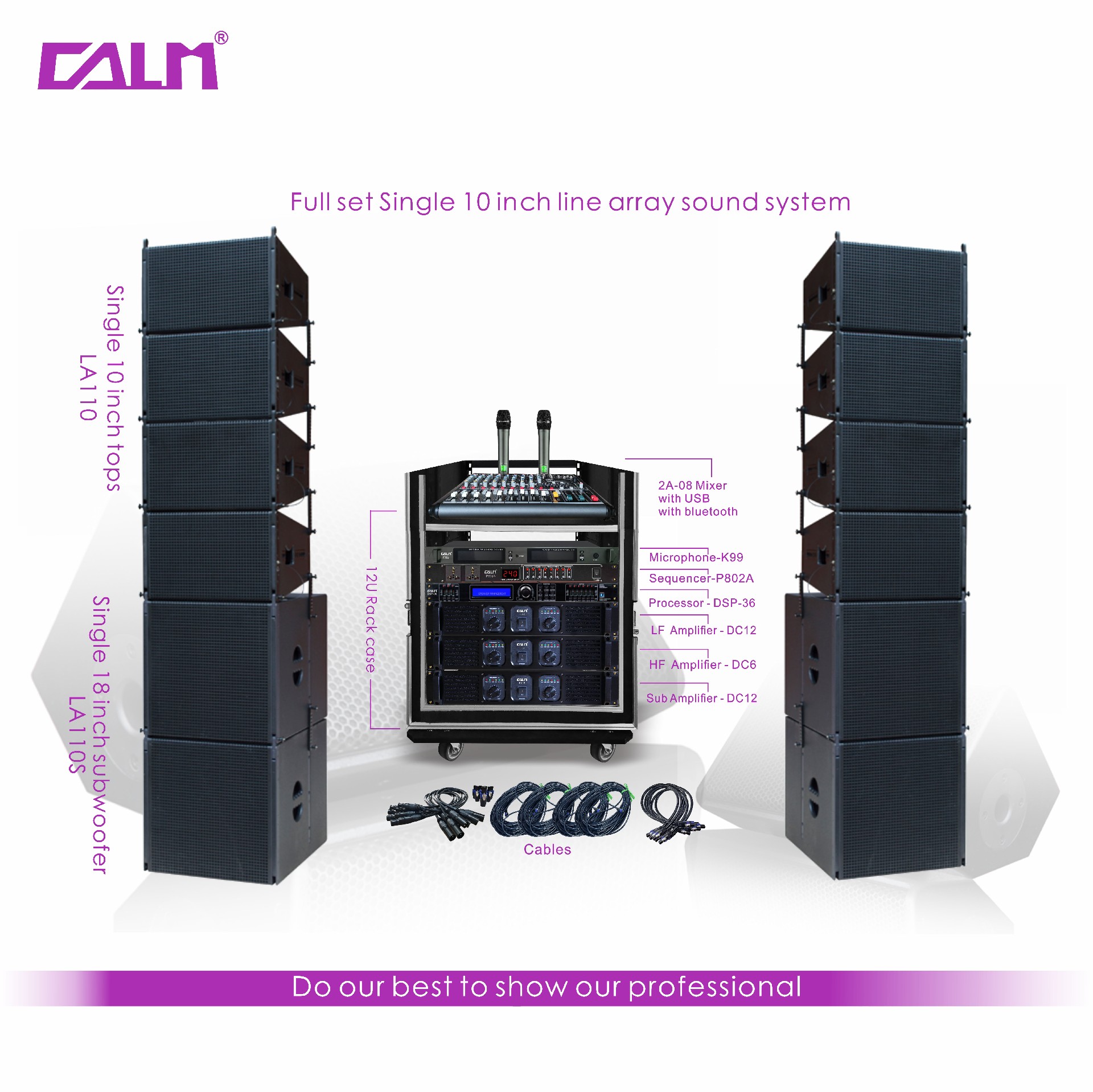 Full set Single 10 inch line array sound system