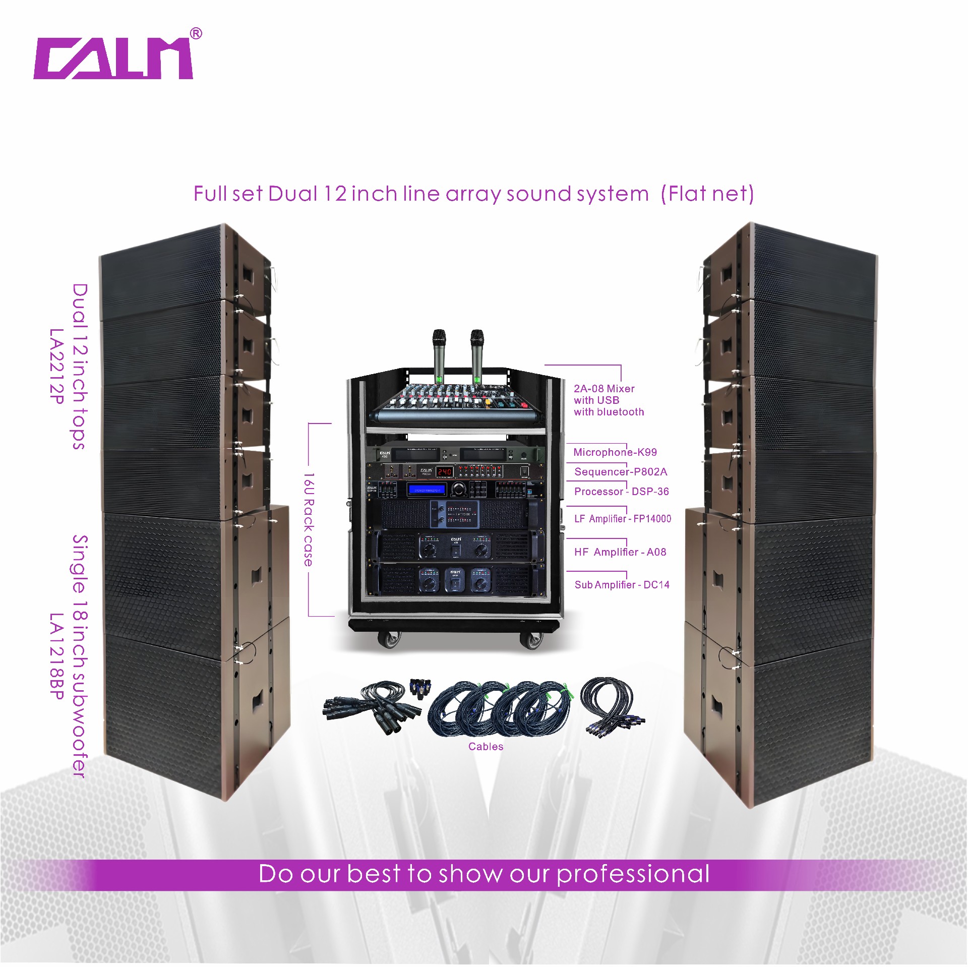 Full set Dual 12inch line array sound system (Flat net)